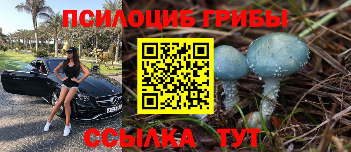 Галлюциногенные грибы Cubensis Фурманов