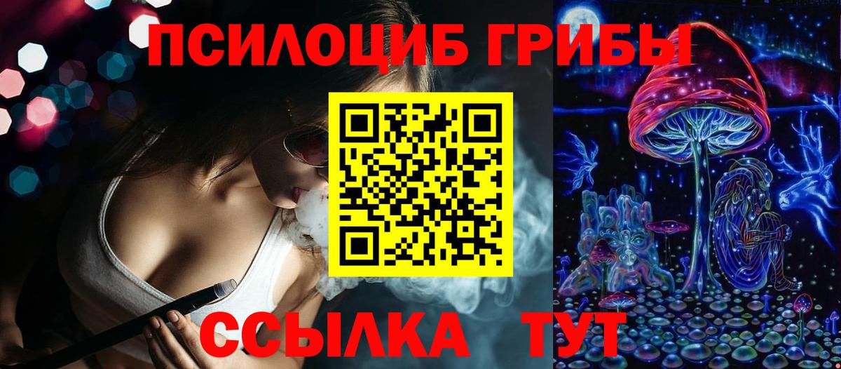 Галлюциногенные грибы прущие грибы  Вход с VPN  Фурманов 